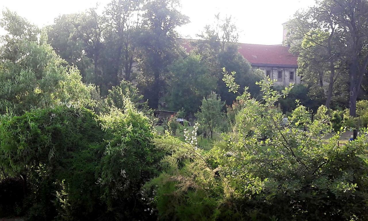 Pivovar Spitt Affittacamere Litoměřice Esterno foto